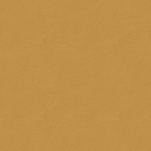 Ballet-barkruk, Camerich – TURMERIC